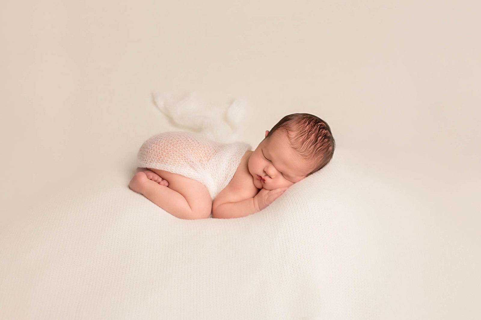 Lynden Baby Photographer