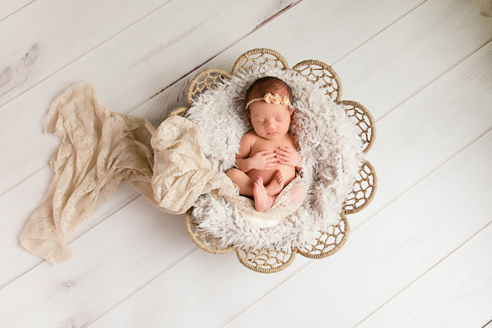 Newborn Baby Portraits